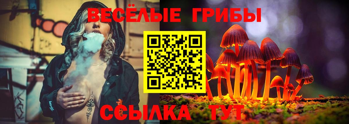 Галлюциногенные грибы мицелий  Вход с VPN  Зеленодольск 
